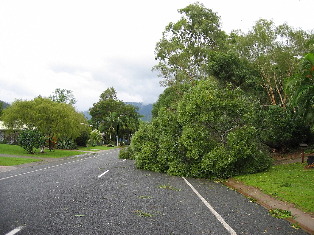 Cairns13 Cyclone Larry.jpg